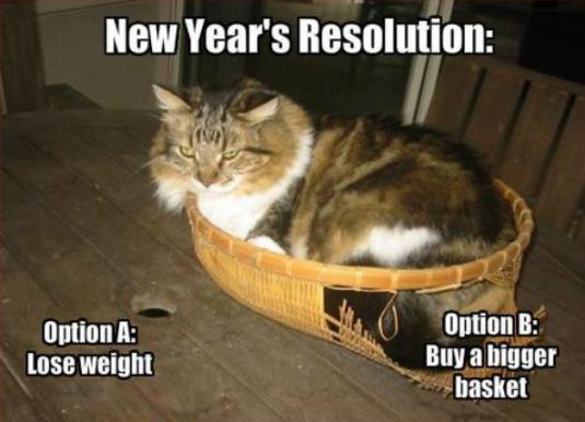 Cat New-Years-Resolution-Memes-